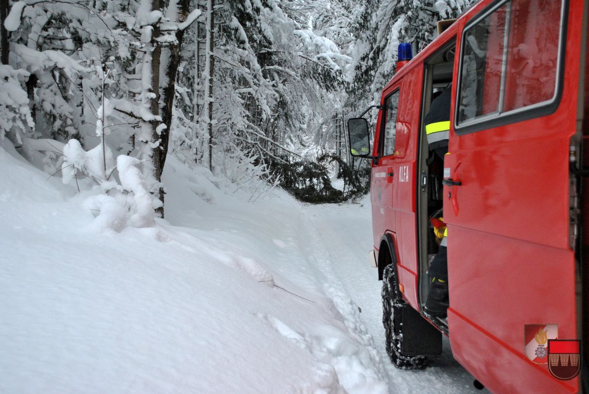 schnee schnee